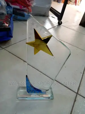 Nice Award for Best Winer Original Materials