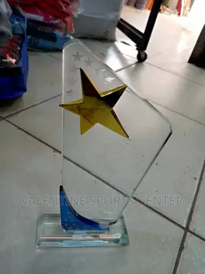 Nice Award for Best Winer Original Materials