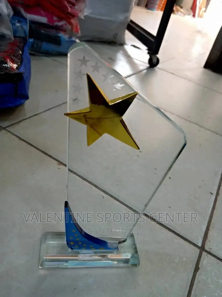 Nice Award for Best Winer Original Materials