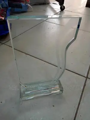 Beautiful Award for Best Winer Original Materials