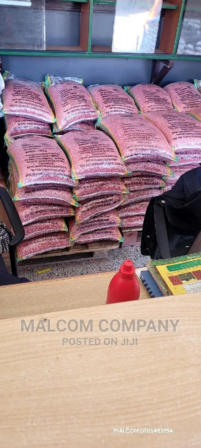 Maize Seeds Wholesalers