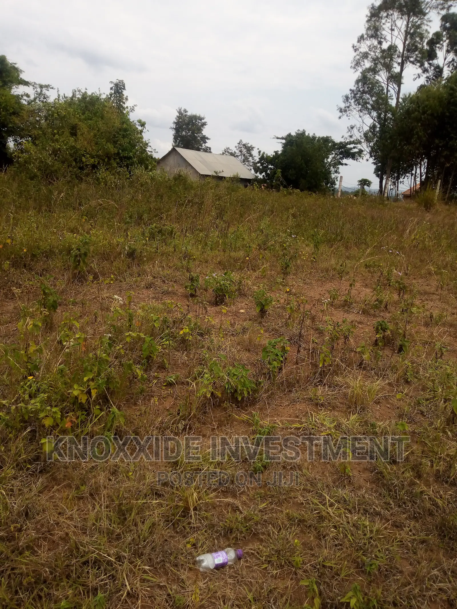 Land for Sale 5acres Per Acre at 45m Ugx Muduma Mitiyana Road