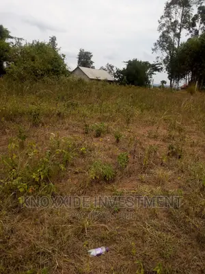 Land for Sale 5acres Per Acre at 45m Ugx Muduma Mitiyana Road