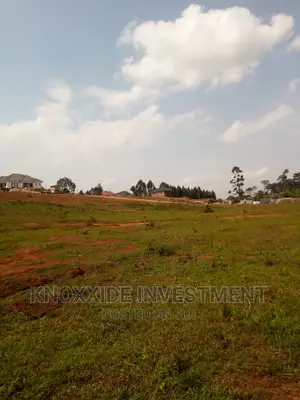 Land for Sale 5acres Per Acre at 45m Ugx Muduma Mitiyana Road