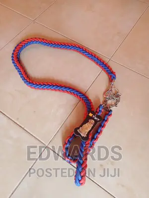 Leash With Collar