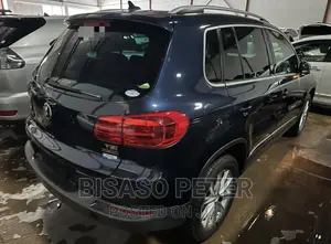 Volkswagen Tiguan 2014 Blue