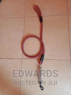 Pink Dog Leash With Spring