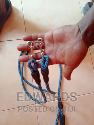 Blue Twin Leashes