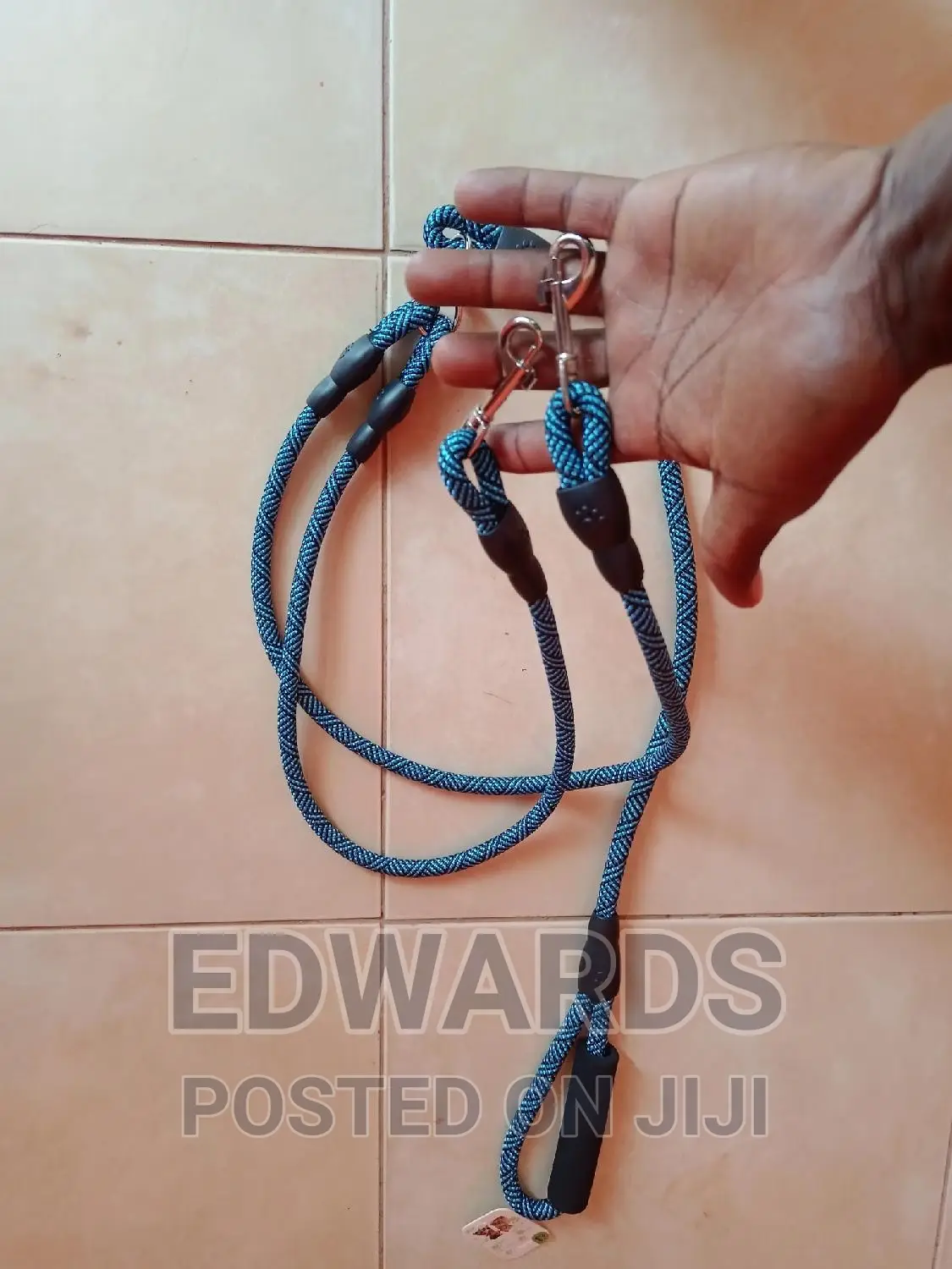 Blue Twin Leashes