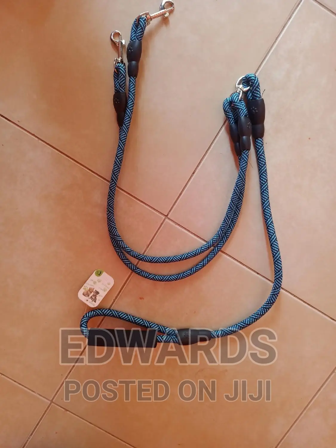 Blue Twin Leashes