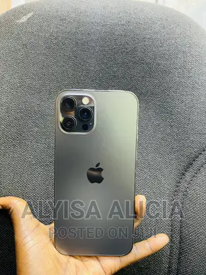 Apple iPhone 12 Pro Max 256 GB Gray