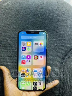Apple iPhone 12 Pro Max 256 GB Gray
