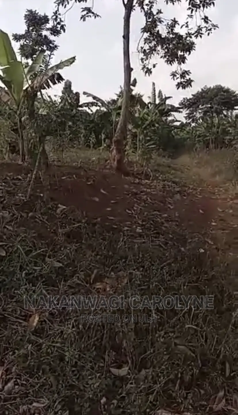 Land for Sell 100ft*120ft