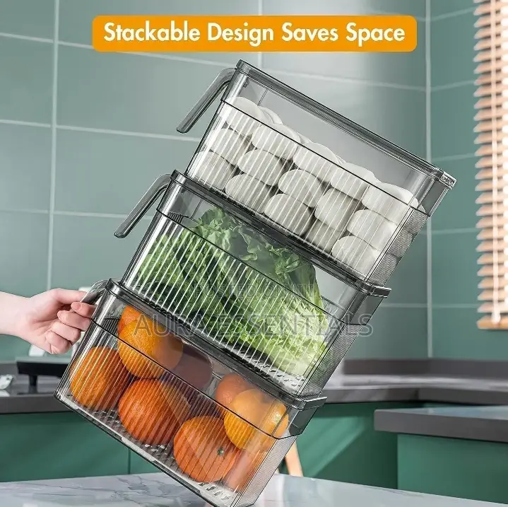 Freezing Organizer Container With Handle
