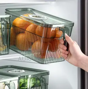 Freezing Organizer Container With Handle