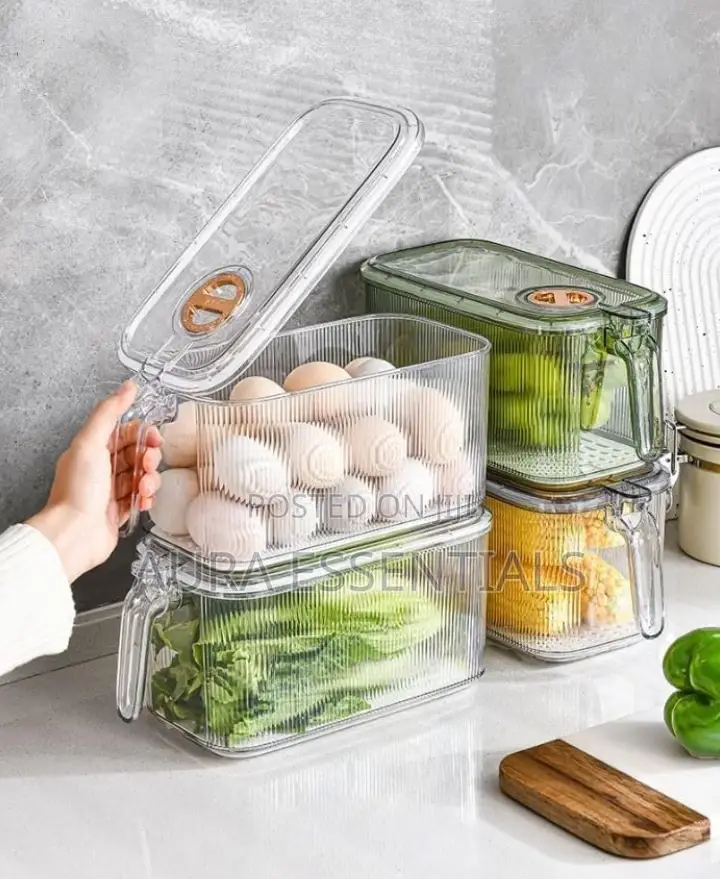 Freezing Organizer Container With Handle