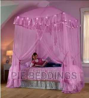 Square Mosquito Net Put in the Ceiling