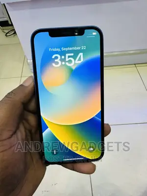Apple iPhone 12 64 GB Blue