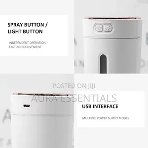 Car Aroma Humidifier