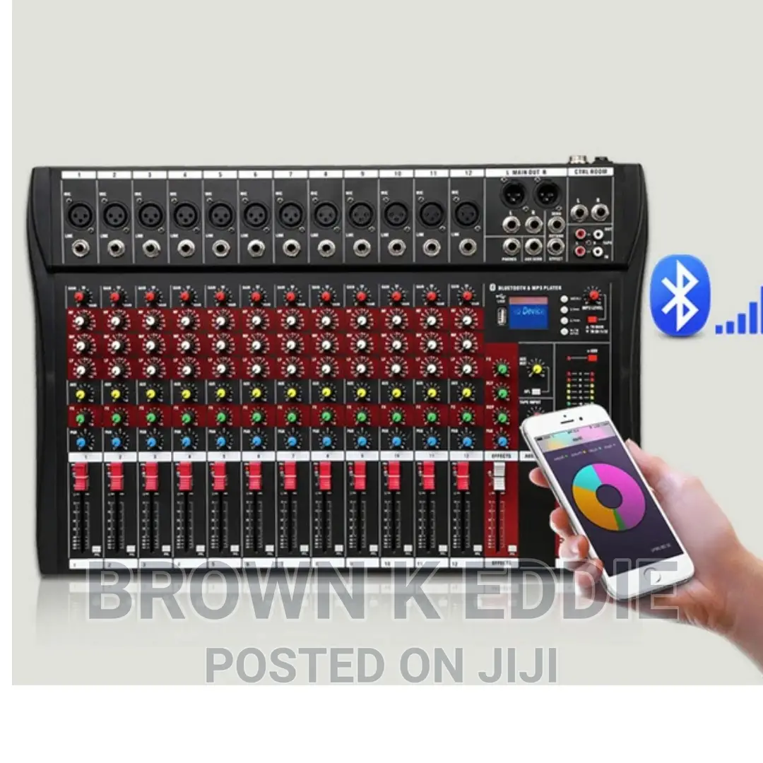 12-Channel Professional Mixer
