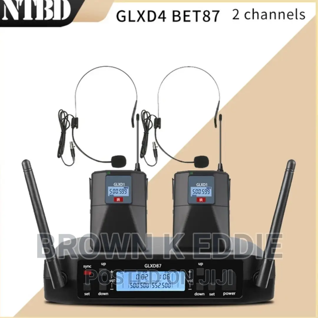 Professional Wireless Microphone Dual Channel Speech