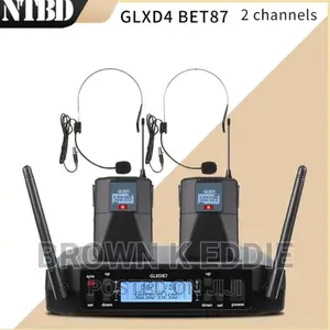 Professional Wireless Microphone Dual Channel Speech