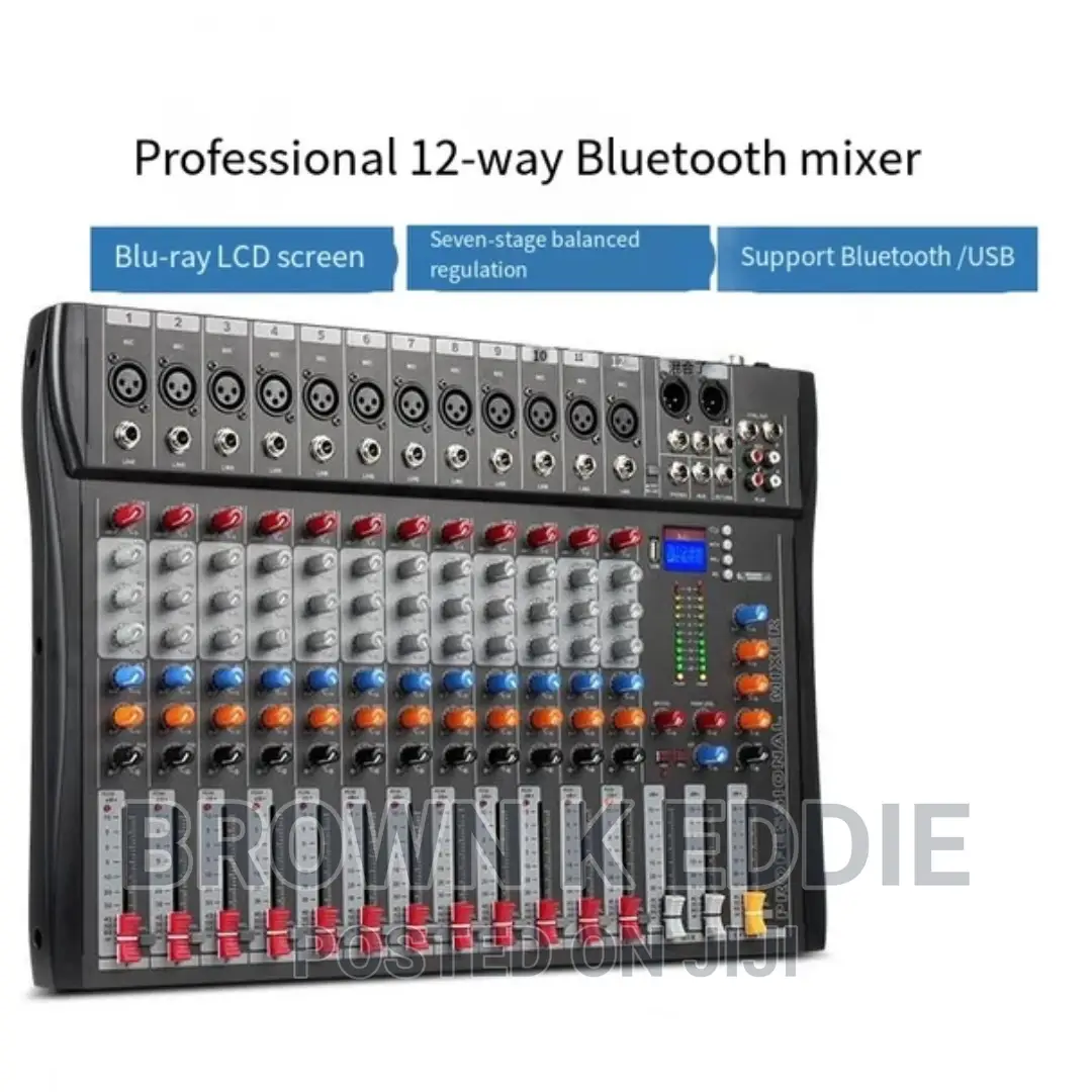 Professional 12-Way Bluetooth Mixer