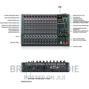 Professional 12-Channel Audio Mixer Depusheng PA12