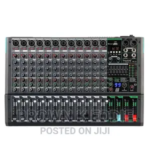 Professional 12-Channel Audio Mixer Depusheng PA12