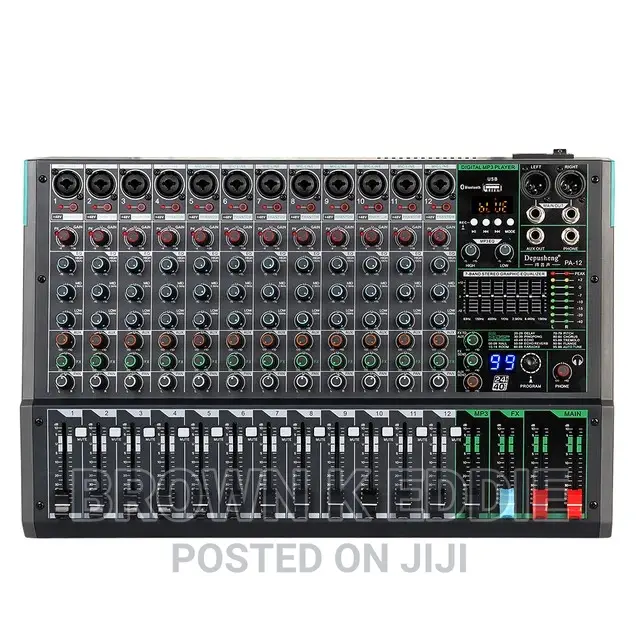 Professional 12-Channel Audio Mixer Depusheng PA12