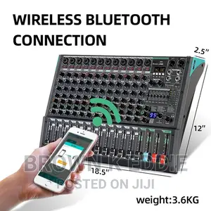 Professional 12-Channel Audio Mixer Depusheng PA12