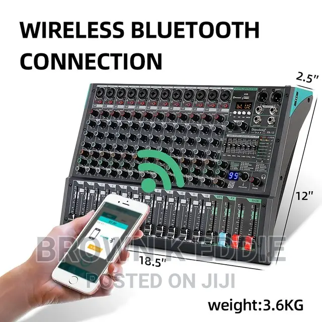 Professional 12-Channel Audio Mixer Depusheng PA12