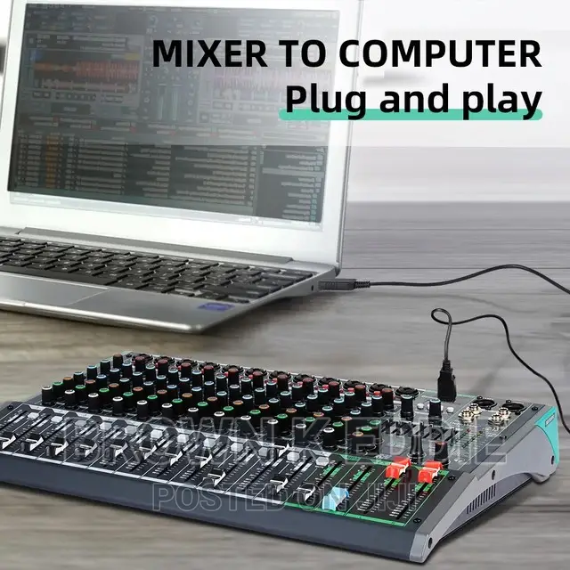Professional 12-Channel Audio Mixer Depusheng PA12