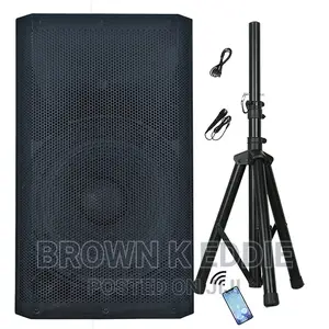 500W 12" High Power Professional Audio Out/Indoor Speaker