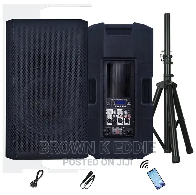 500W 12" High Power Professional Audio Out/Indoor Speaker