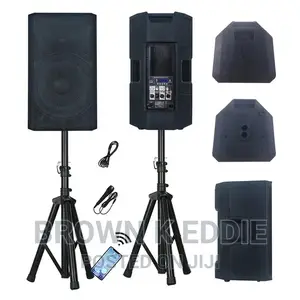 500W 12" High Power Professional Audio Out/Indoor Speaker