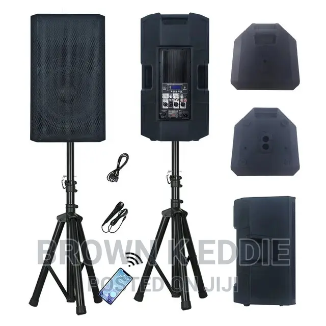 500W 12" High Power Professional Audio Out/Indoor Speaker