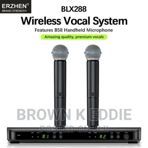 Profession Wireless Vocal Microphone UHF System Kit