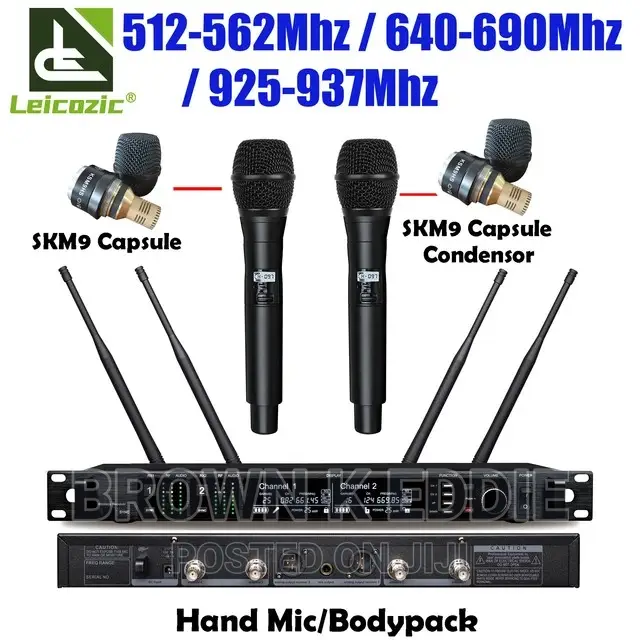 Wireless Microphone Professional Dual Channel Receiver