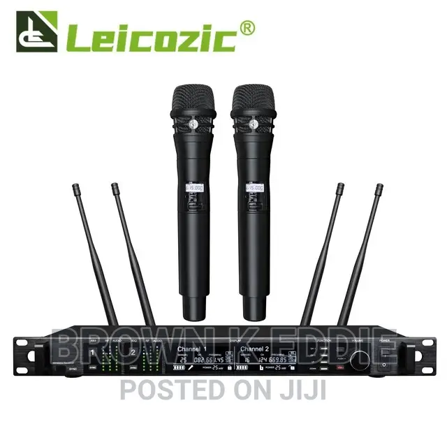 Wireless Microphone Professional Dual Channel Receiver