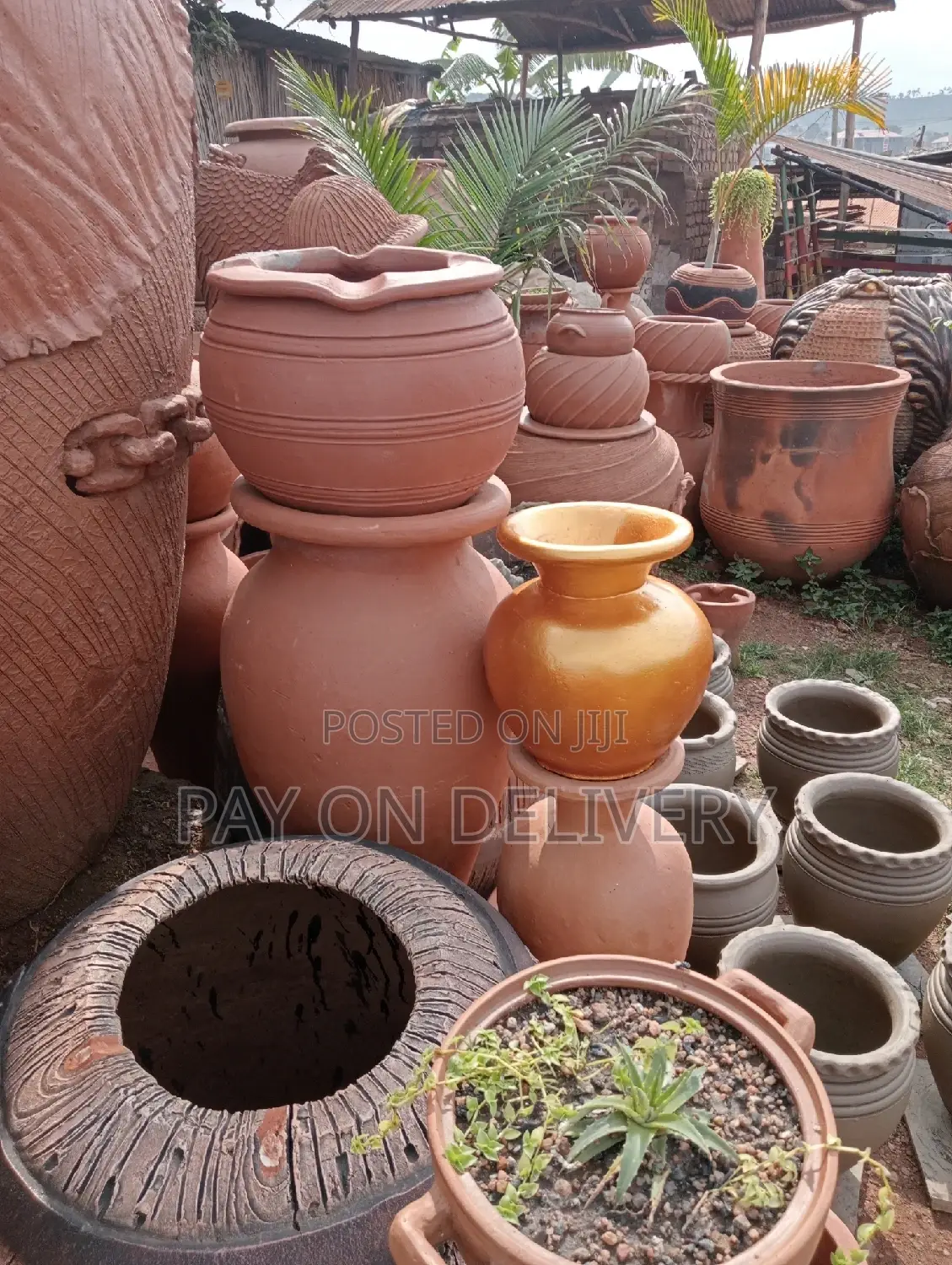 Big and Small Flower Pots