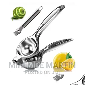 Steel Lemon Citrus Press