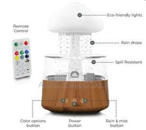 Mushroom Air Humidifier 4 in 1