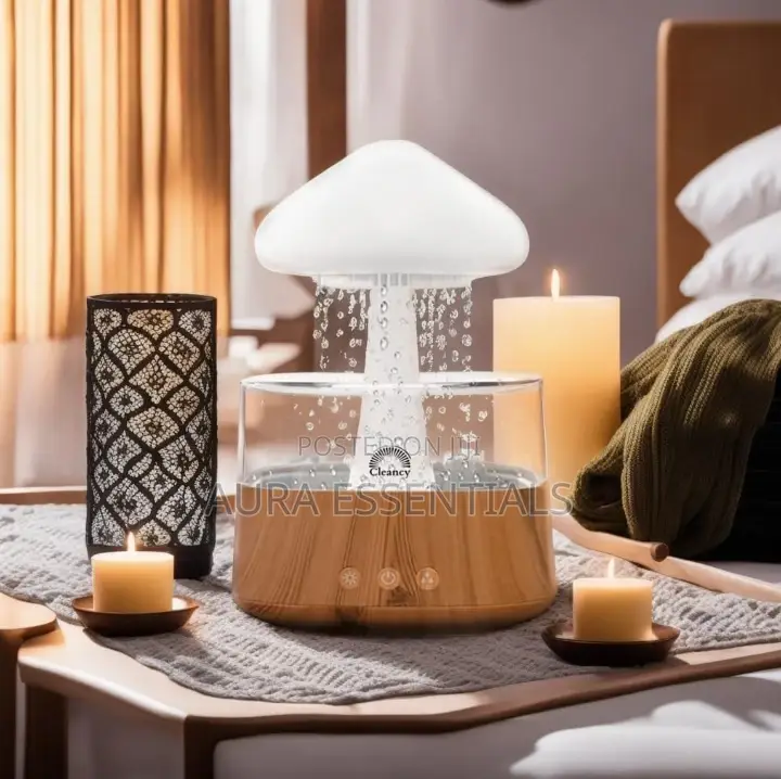 Mushroom Air Humidifier 4 in 1