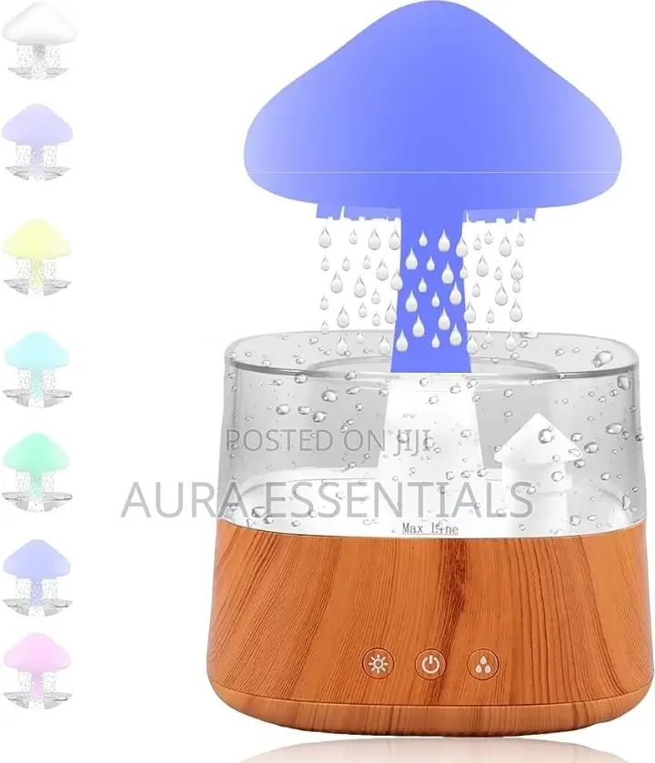 Mushroom Air Humidifier 4 in 1