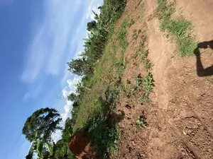 Cheap Mailo Plots With Ready Titles for Sale at Nakifuma