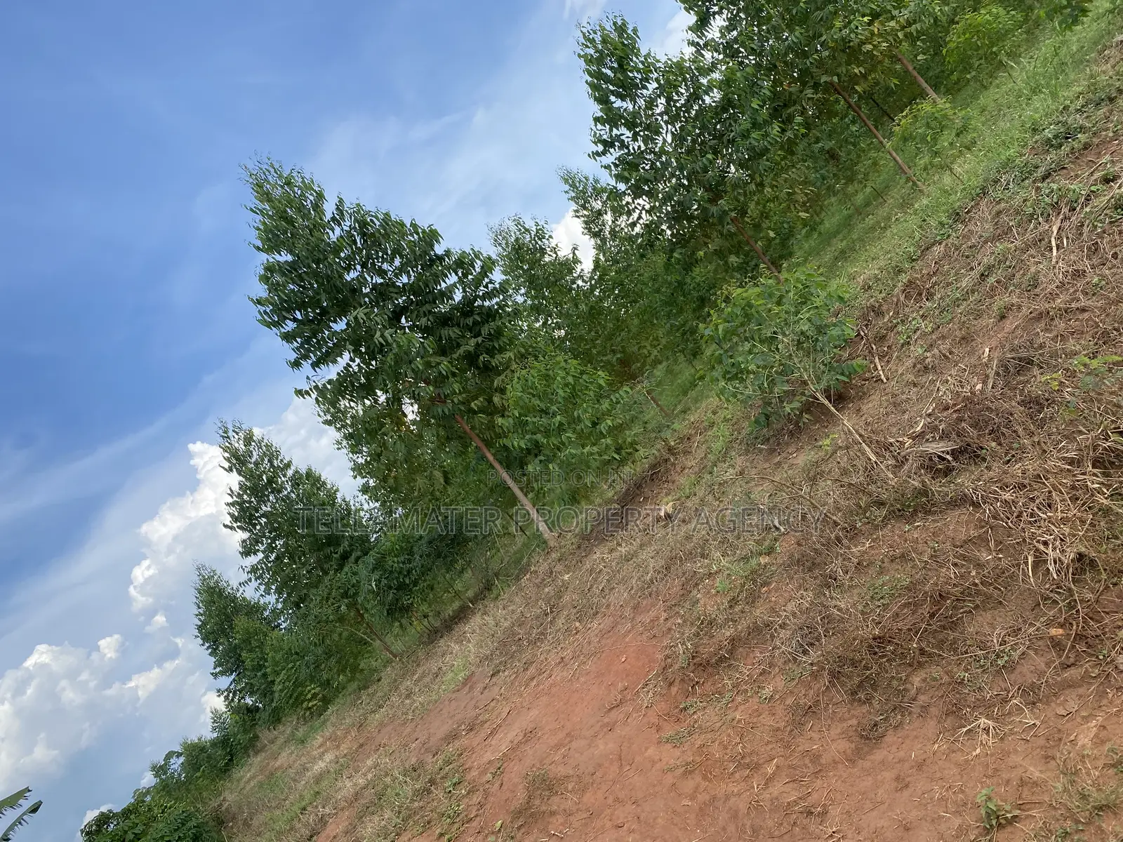 Cheap Mailo Plots With Ready Titles for Sale at Nakifuma