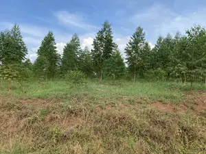 Cheap Mailo Plots With Ready Titles for Sale at Nakifuma
