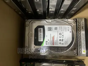 Server Hard Disk 6TB
