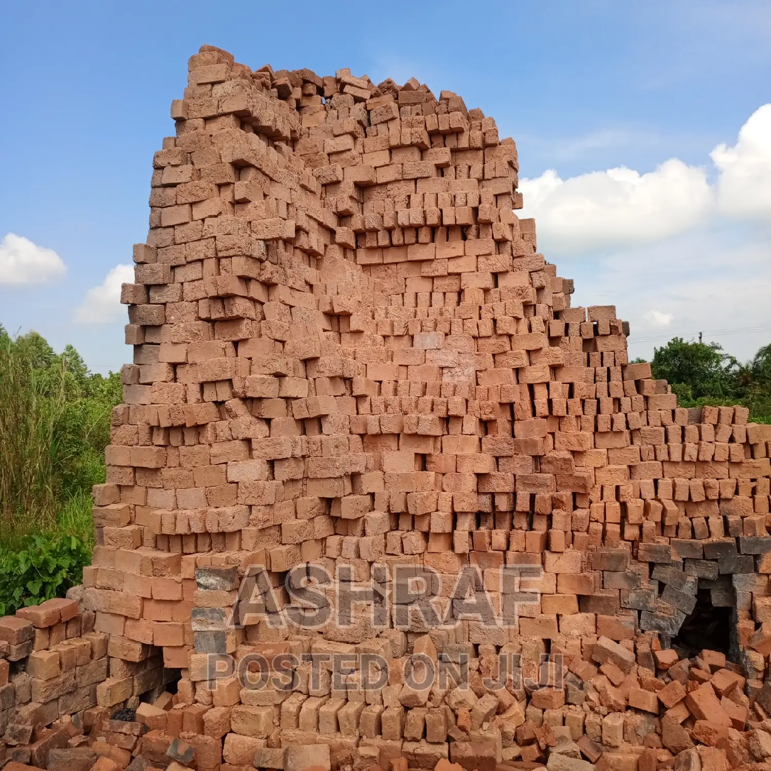 Building Solid Clay Bricks